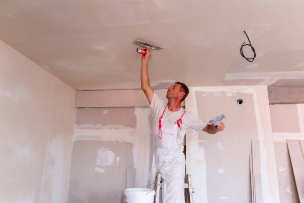 Best Fire-Damaged Drywall Repair  in Diboll, TX