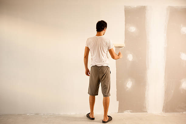 Best Drywall Removal and Disposal  in Diboll, TX